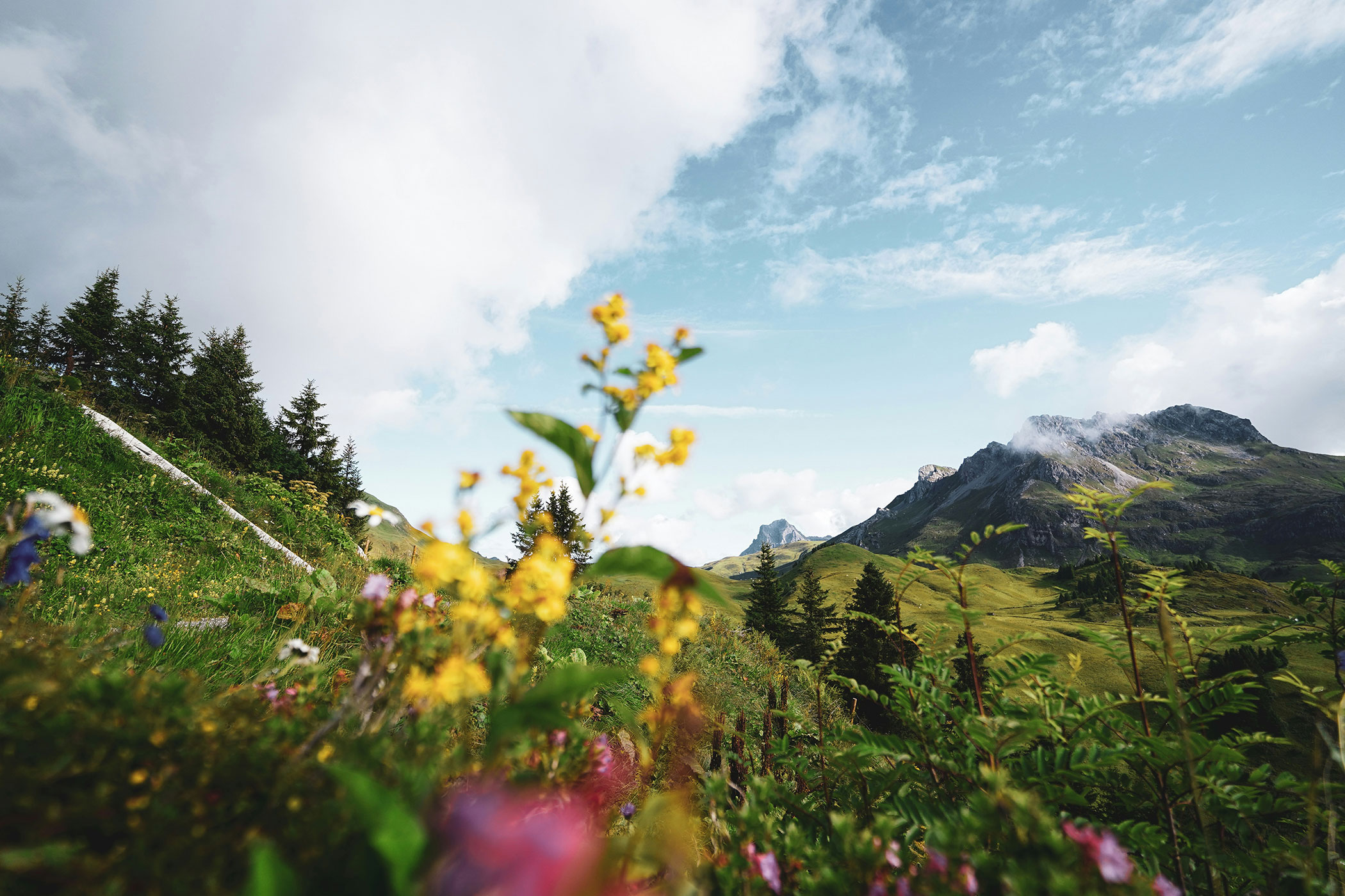 ALPINE-LIVING—Luxusingatlan-Ausztria-Svájc-Alpok—Ingatlaniroda—Salzburg-Tirol—ALPINE-STORY_PR00000050_008